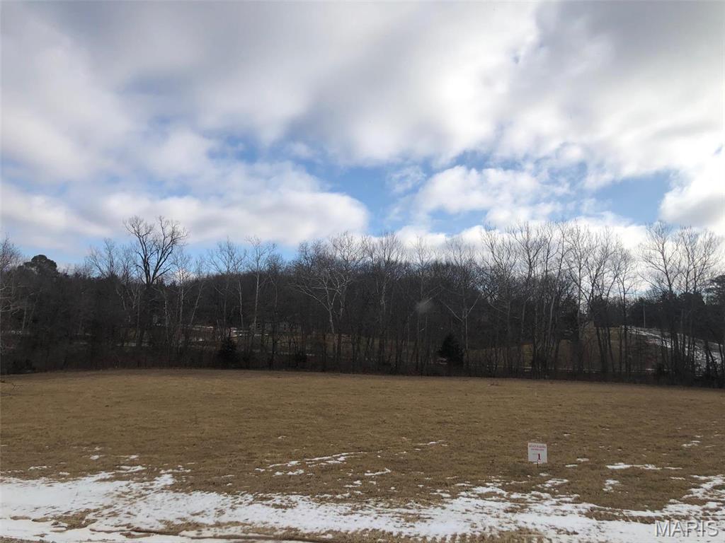 Holt Farms - Land