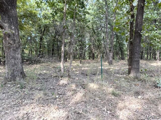 5.1 surveyed acres offering a blank slate for your vision! With no restrictions, this property provides endless possibilities for building your dream home, hobby farm, or whatever you envision. Enjoy the privacy and space of country living while being just minutes from town and the natural beauty of Bennett Spring State Park. A great opportunity to own acreage with convenience, flexibility, and plenty of potential!