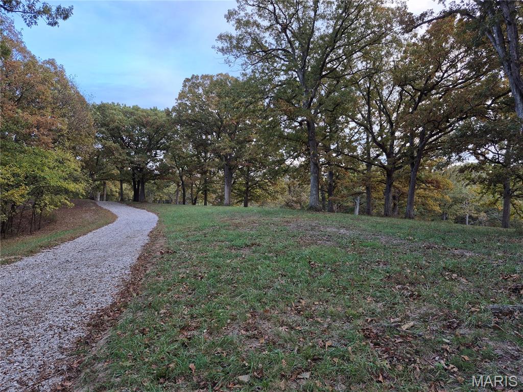 Experience the ideal balance of privacy, natural beauty, and modern convenience with this exceptional 10.9± acre property. Equipped with underground electric and water, this stunning tract features mature trees and breathtaking panoramic views—creating the perfect backdrop for your dream home or private getaway. 
Thoughtful deed restrictions protect your investment and the surrounding landscape, requiring a minimum 1,200-square-foot site-built home while prohibiting mobile or modular homes, hog confinement buildings, junkyards, race tracks, and unnecessary logging beyond clearing a homesite. These standards help preserve the property’s beauty, tranquility, and long-term value. Nature lovers and outdoor enthusiasts will appreciate the abundant wildlife, including turkey and trophy-class whitetail bucks—offering both recreation and relaxation right outside your door. Rarely does a property combine scenic views, utilities in place, and protective covenants so seamlessly. Additional acreage is available. Agent owned.