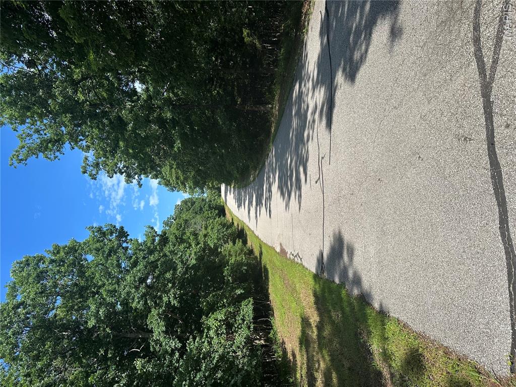 Bluffs/Hoene Spgs 2 - Land