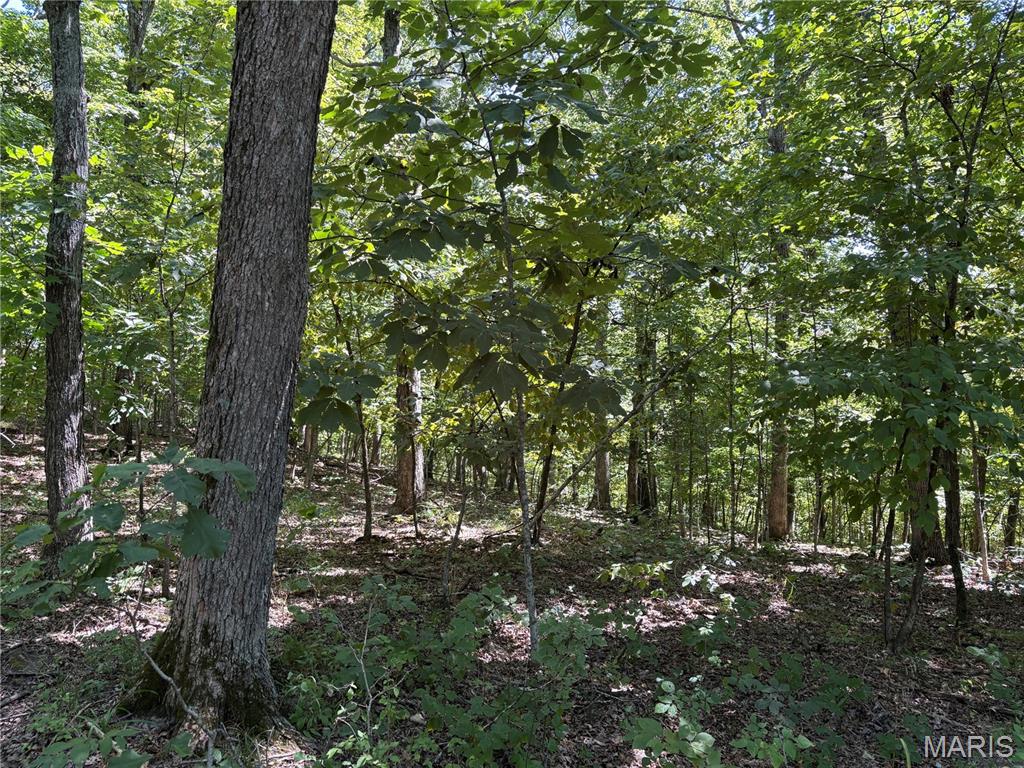 Your Private Rural Escape Awaits! Discover the beauty and tranquility of this gorgeous 5+ acre rural property, offering a peaceful natural setting surrounded by beautiful mature trees. With plenty of space and privacy, this acreage provides an excellent opportunity to create your own private retreat away from the hustle and bustle of everyday life. An existing electric utility hookup is already in place, providing a valuable head start for future development. Whether you're looking to build your dream home, establish a peaceful weekend retreat, or secure a promising investment property, this versatile acreage offers endless possibilities. Enjoy the privacy, natural beauty, and freedom that come with owning your own piece of the countryside. Bring your vision and make this beautiful property your own! All building plans to be approved by board of trustees, shouses & barndominiums allowed as long as they are stick built.