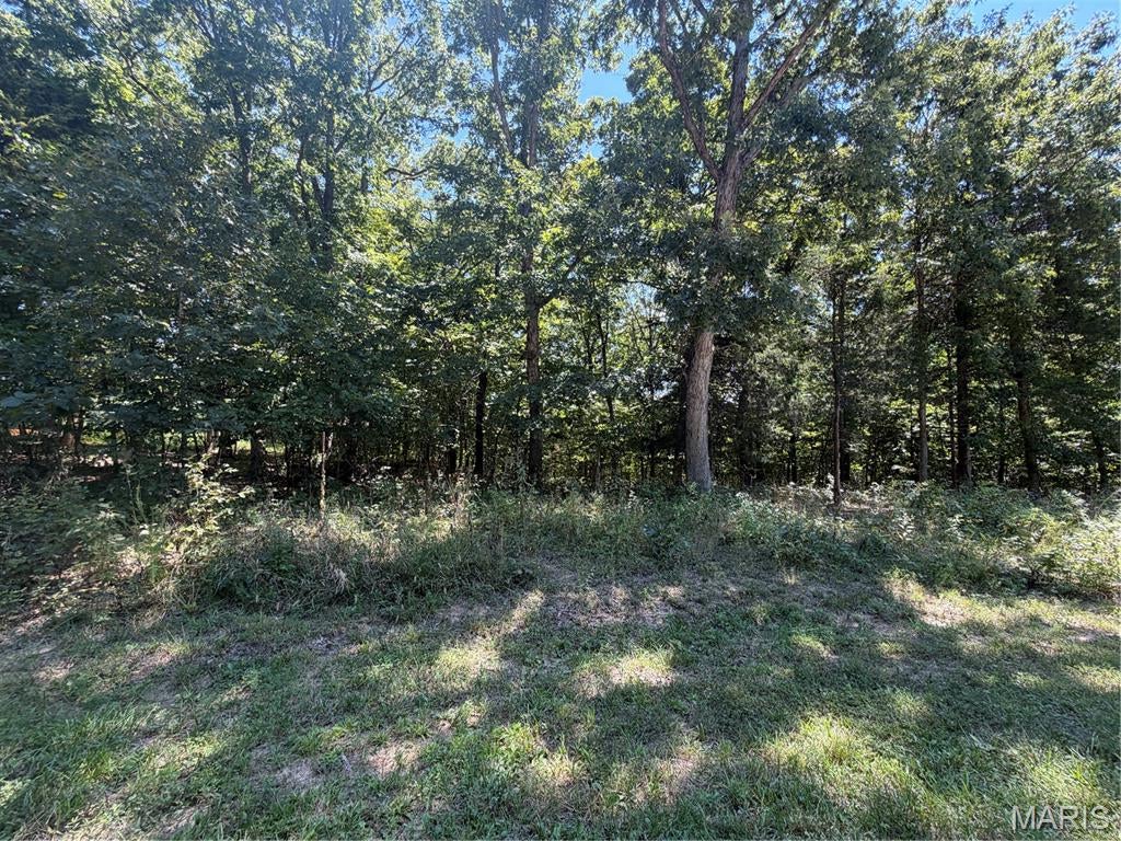 Warren Woods - Land