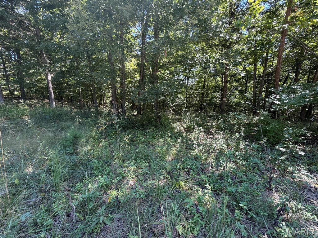 Warren Woods - Land