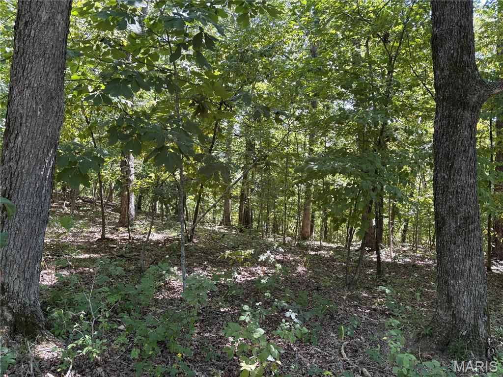 Warren Woods - Land