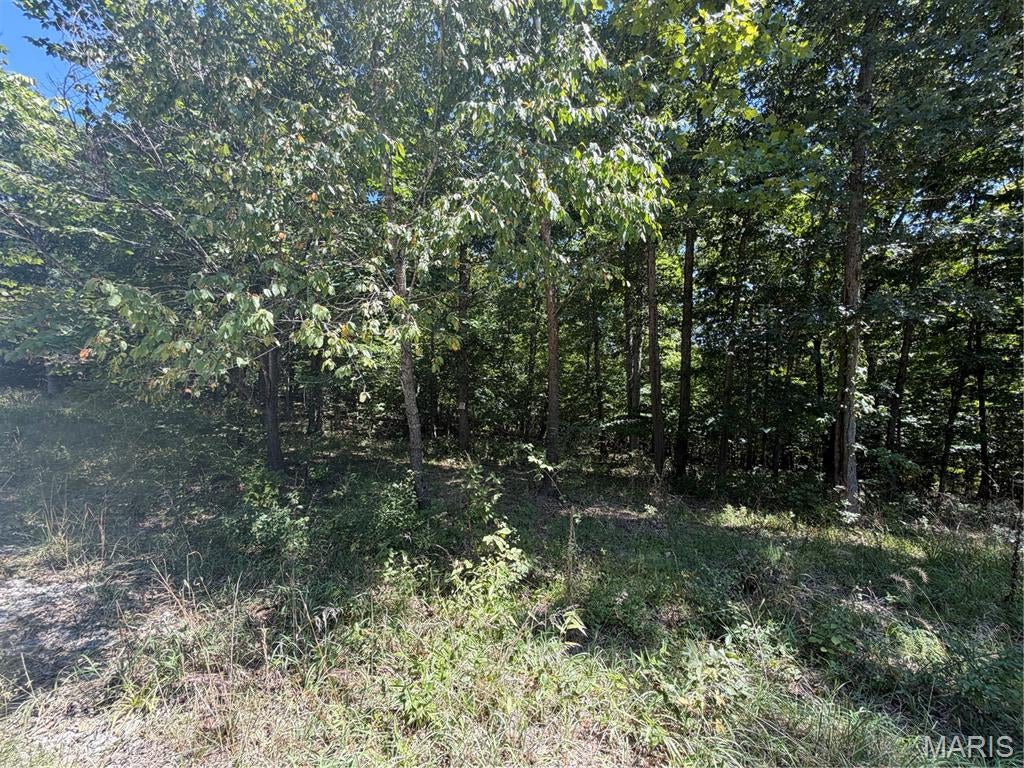 Warren Woods - Land