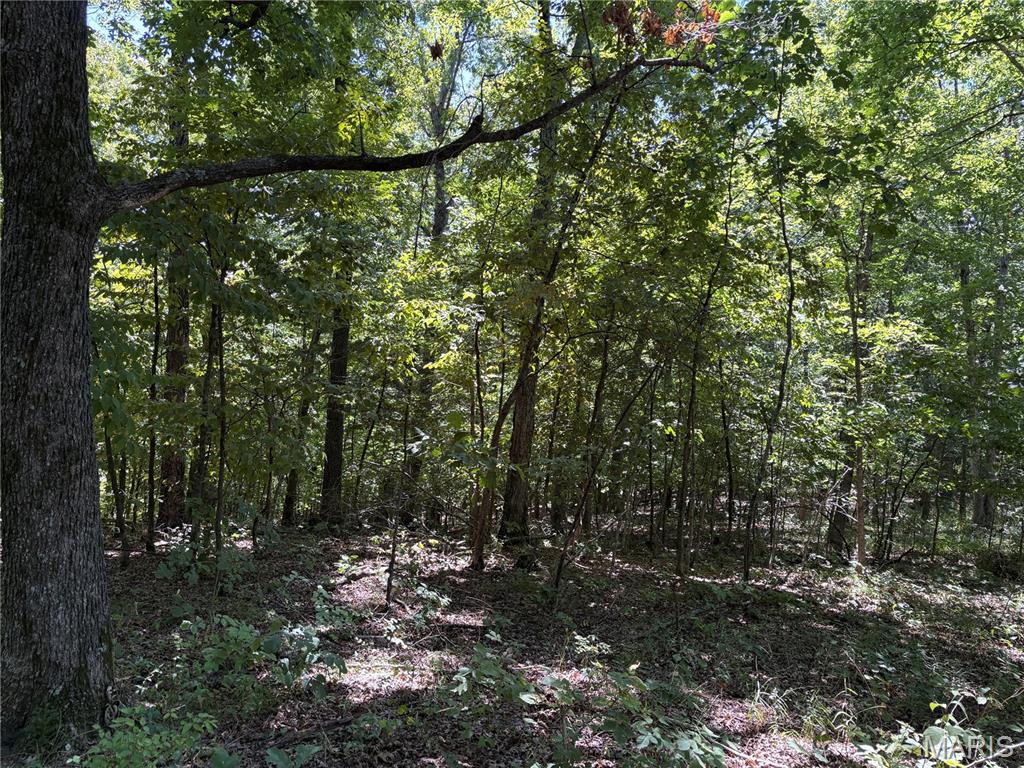 Warren Woods - Land