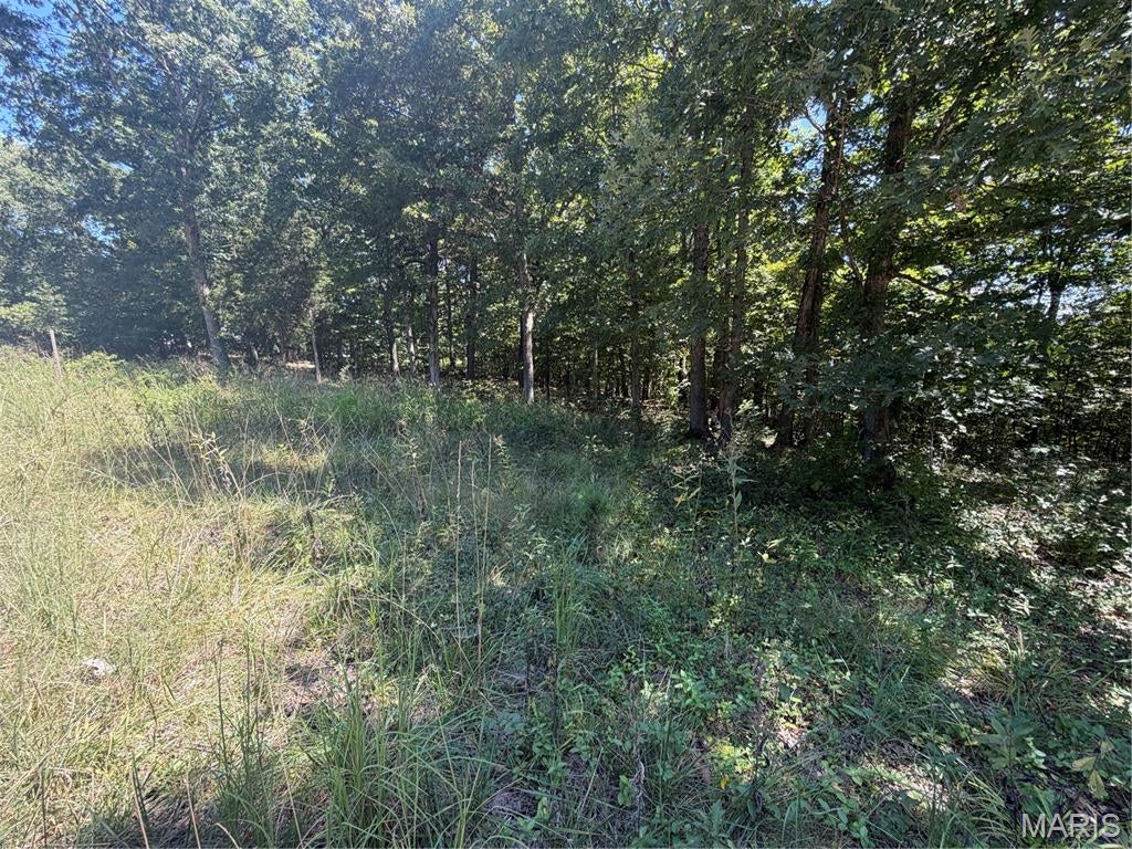 Warren Woods - Land