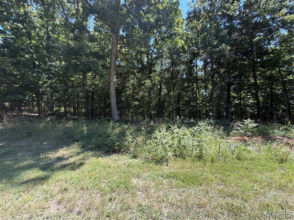 Warren Woods - Land
