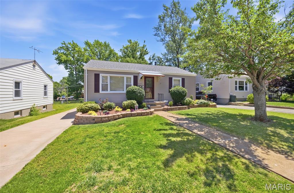 Buder Park Terrace - Residential