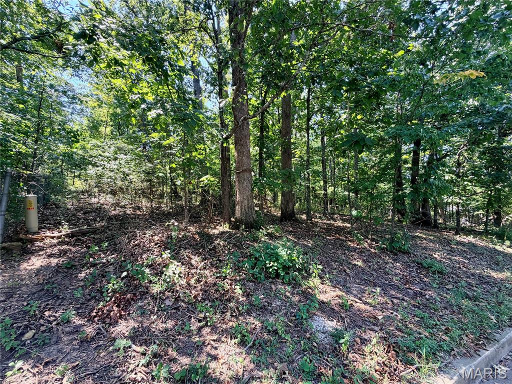 Line Barnitz Forest 1st Add - Residential