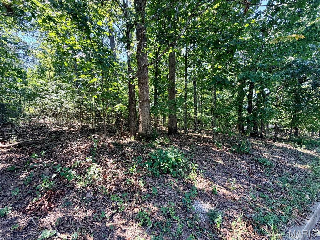Line Barnitz Forest 1st Add - Residential