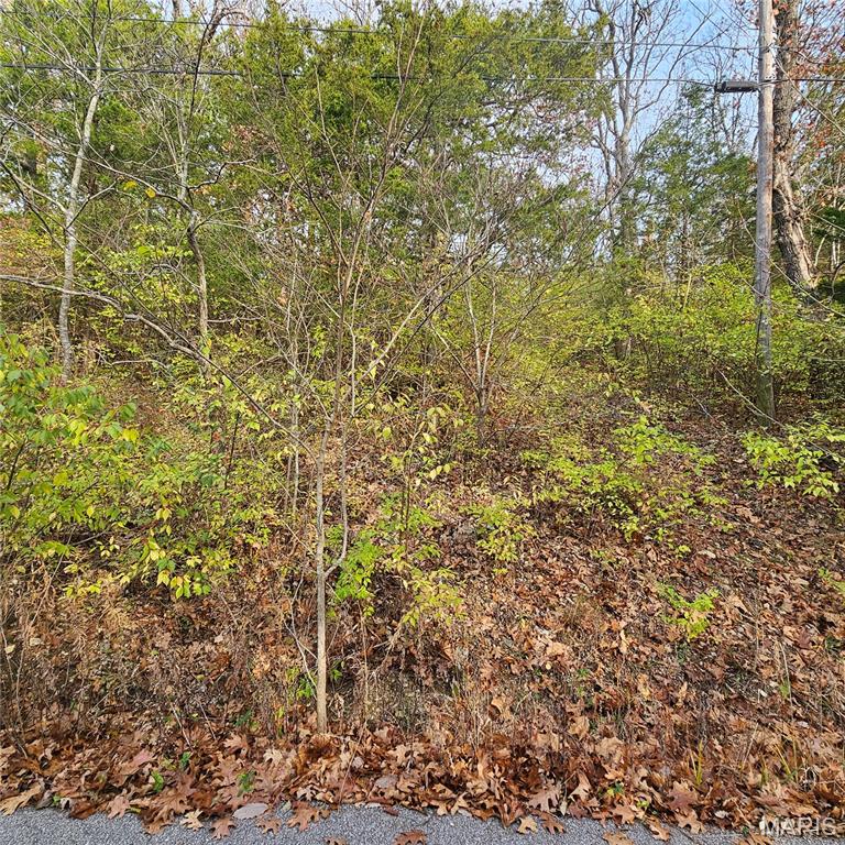 Cedar Hill Lakes 2 - Land