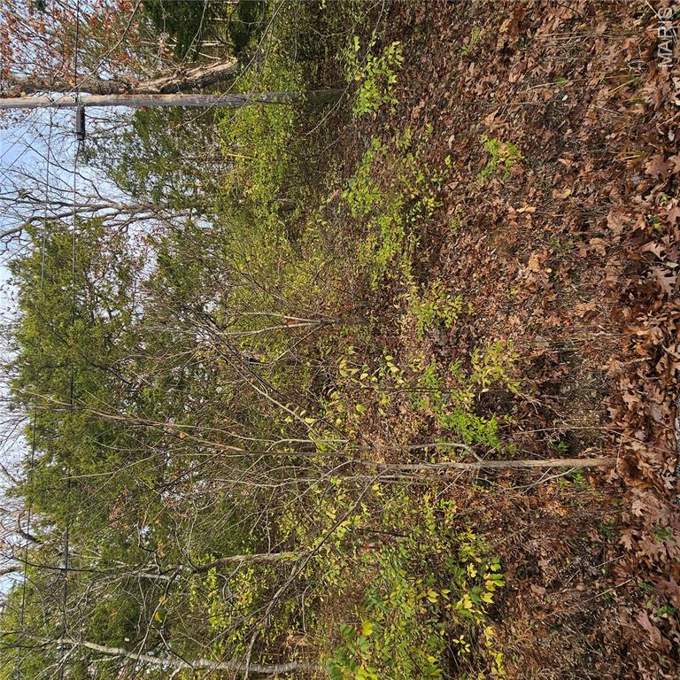 Cedar Hill Lakes 2 - Land