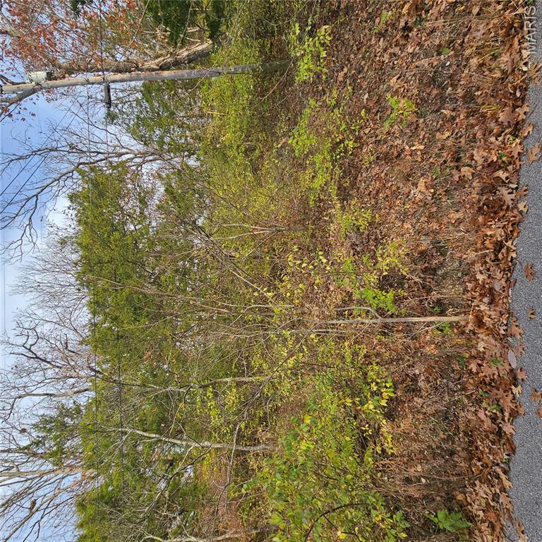 Cedar Hill Lakes 2 - Land