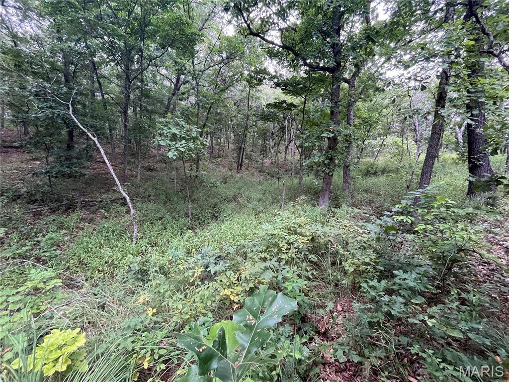 Whispering Oaks Subdivison - Land