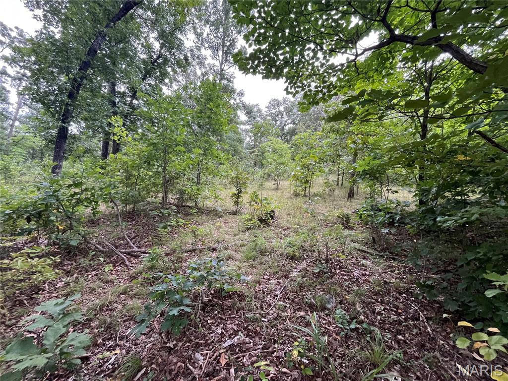 Whispering Oaks Subdivison - Land