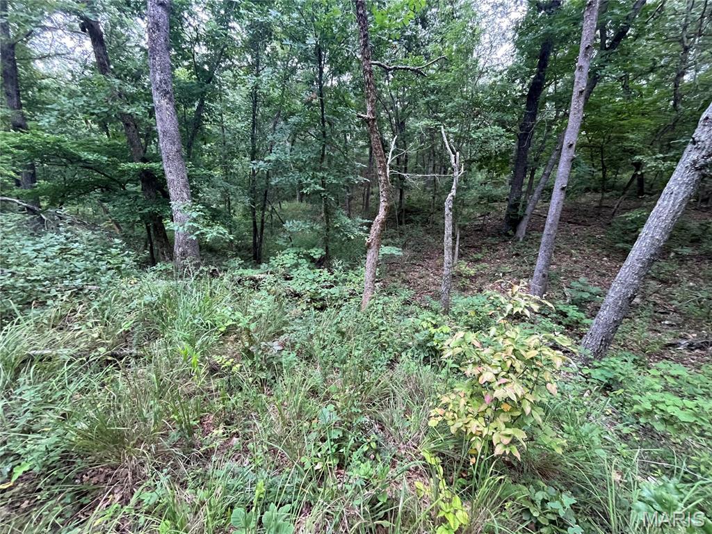 Whispering Oaks Subdivison - Land