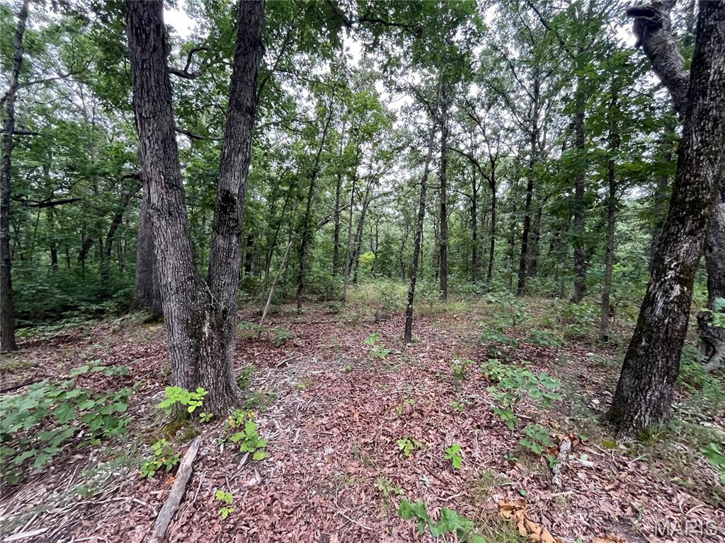 Whispering Oaks Subdivison - Land
