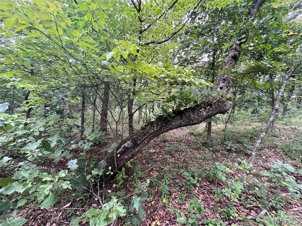 Whispering Oaks Subdivison - Land