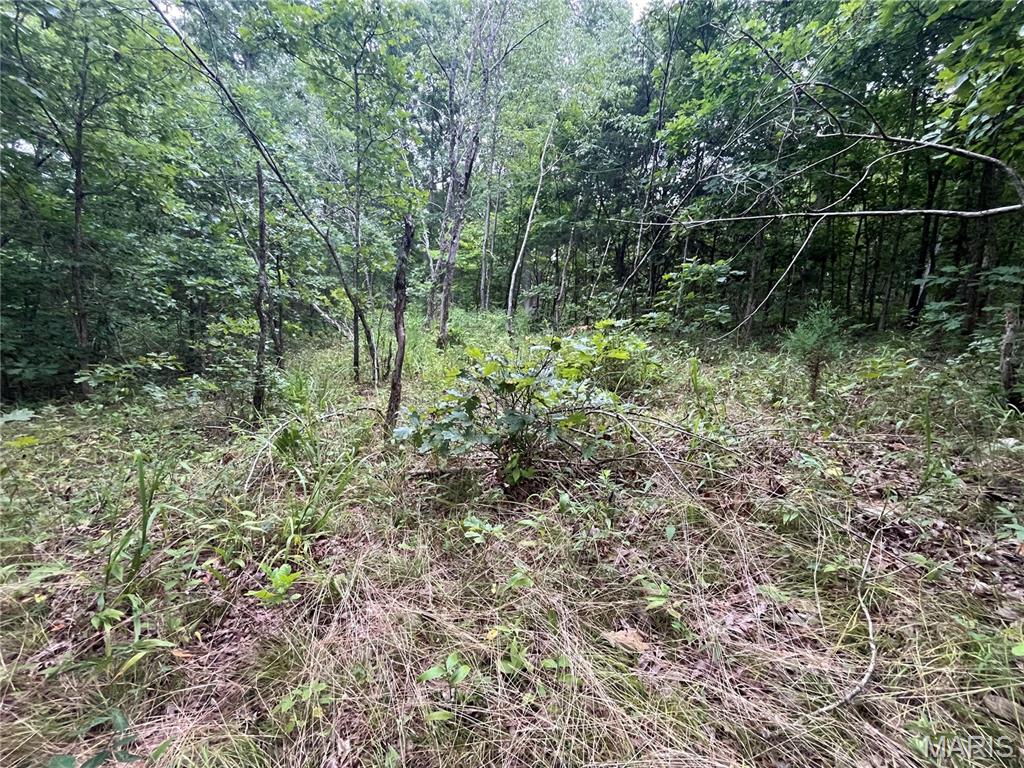 Whispering Oaks Subdivison - Land