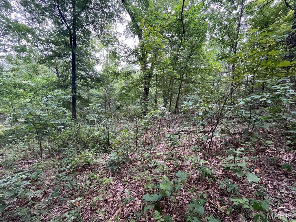 Whispering Oaks Subdivison - Land
