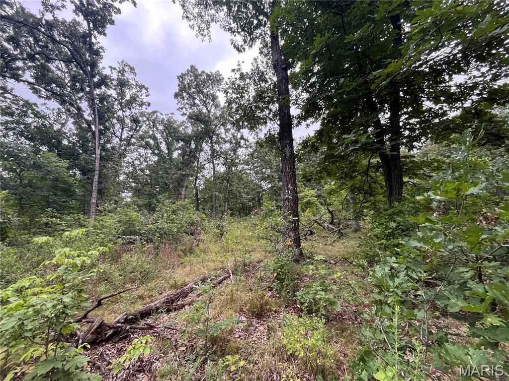 Whispering Oaks Subdivison - Land