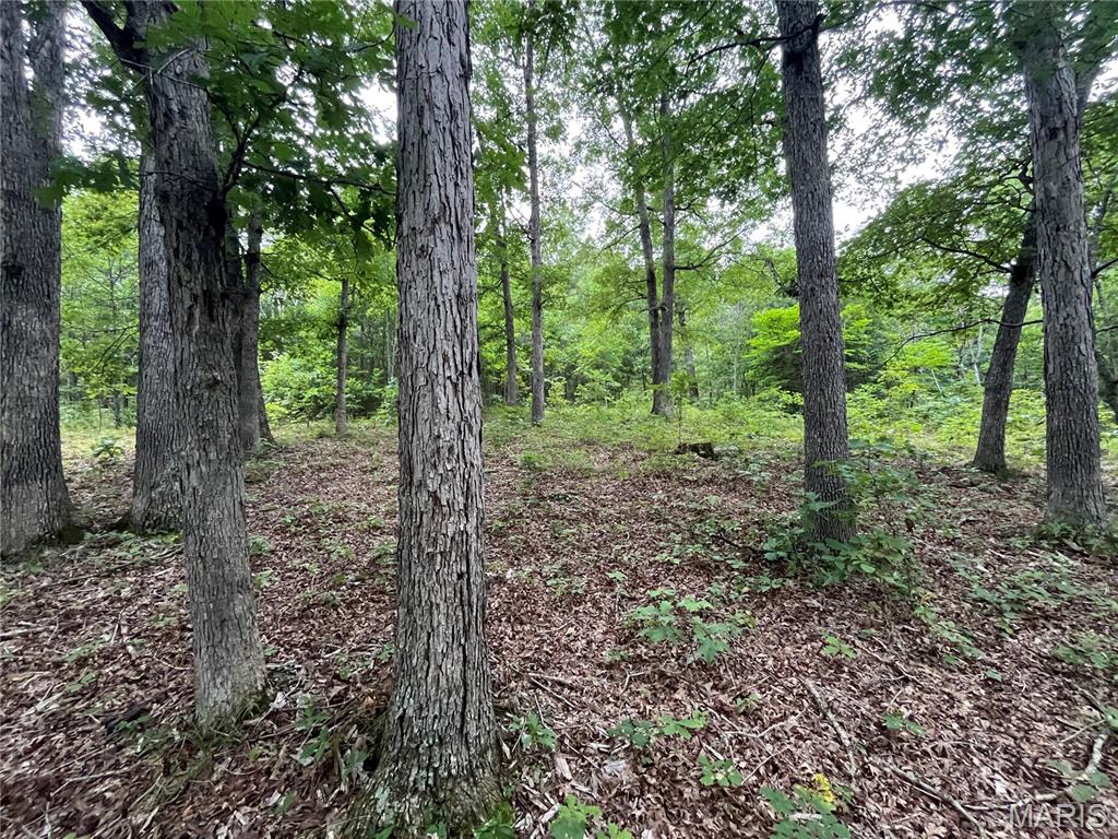 Whispering Oaks Subdivison - Land