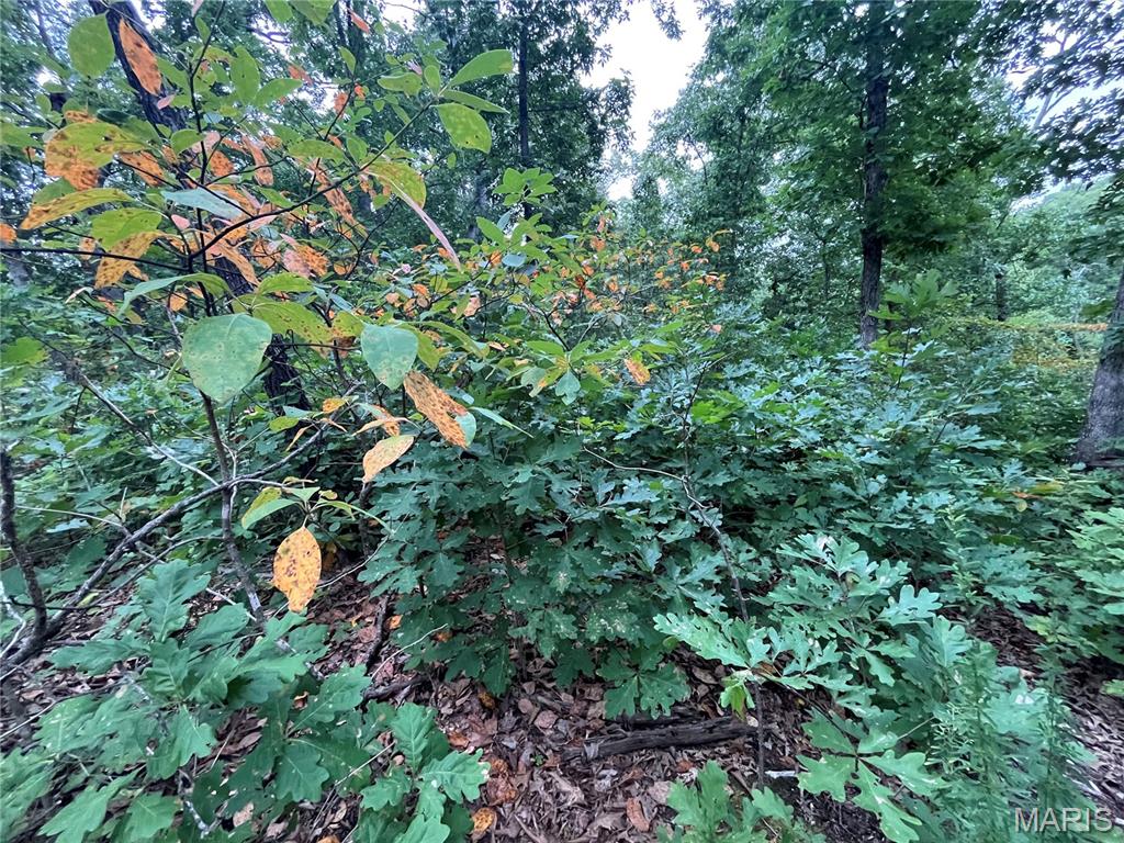 Whispering Oaks Subdivison - Land