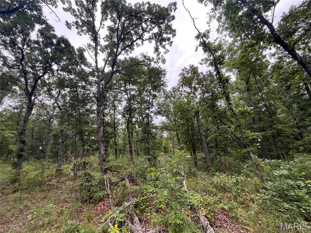 Whispering Oaks Subdivison - Land