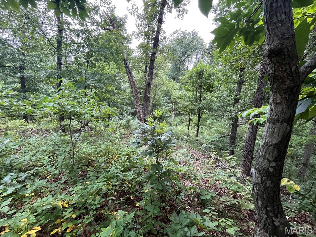 Whispering Oaks Subdivison - Land