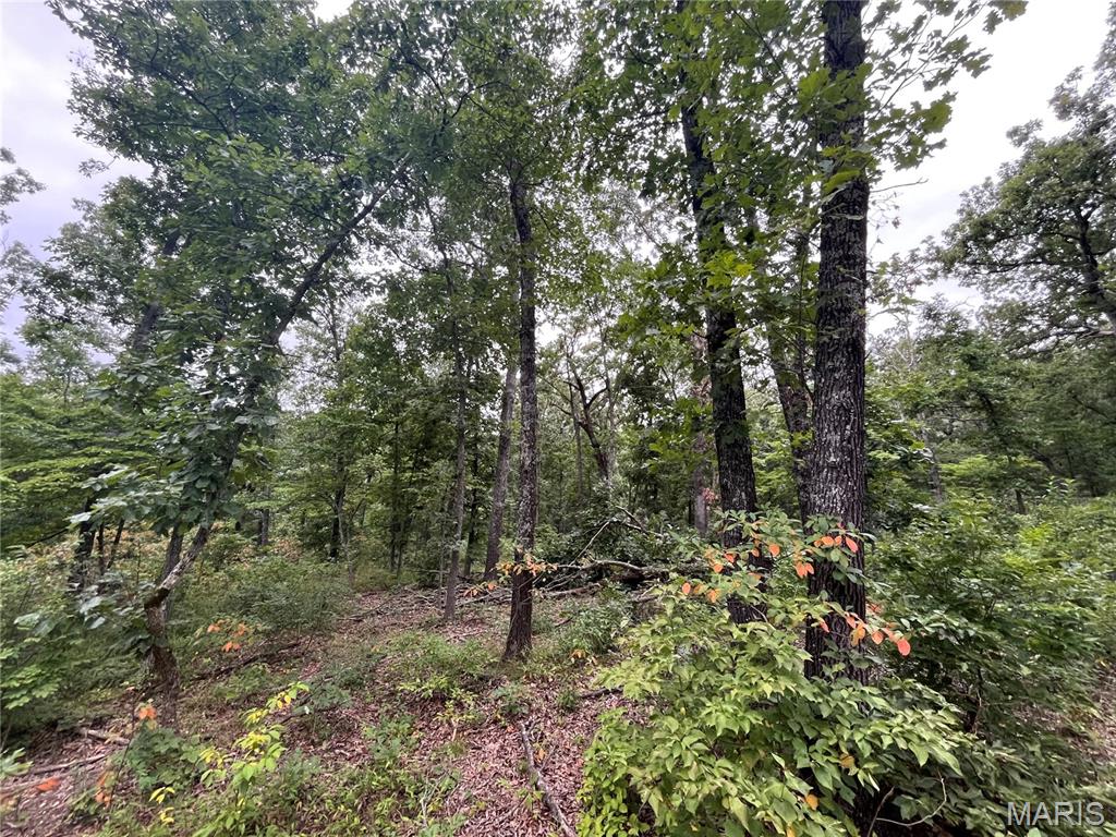 Whispering Oaks Subdivison - Land