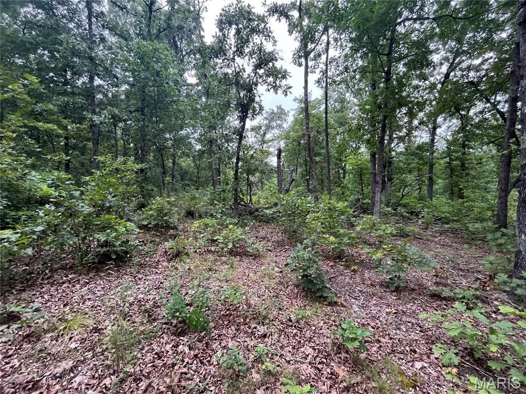 Whispering Oaks Subdivison - Land