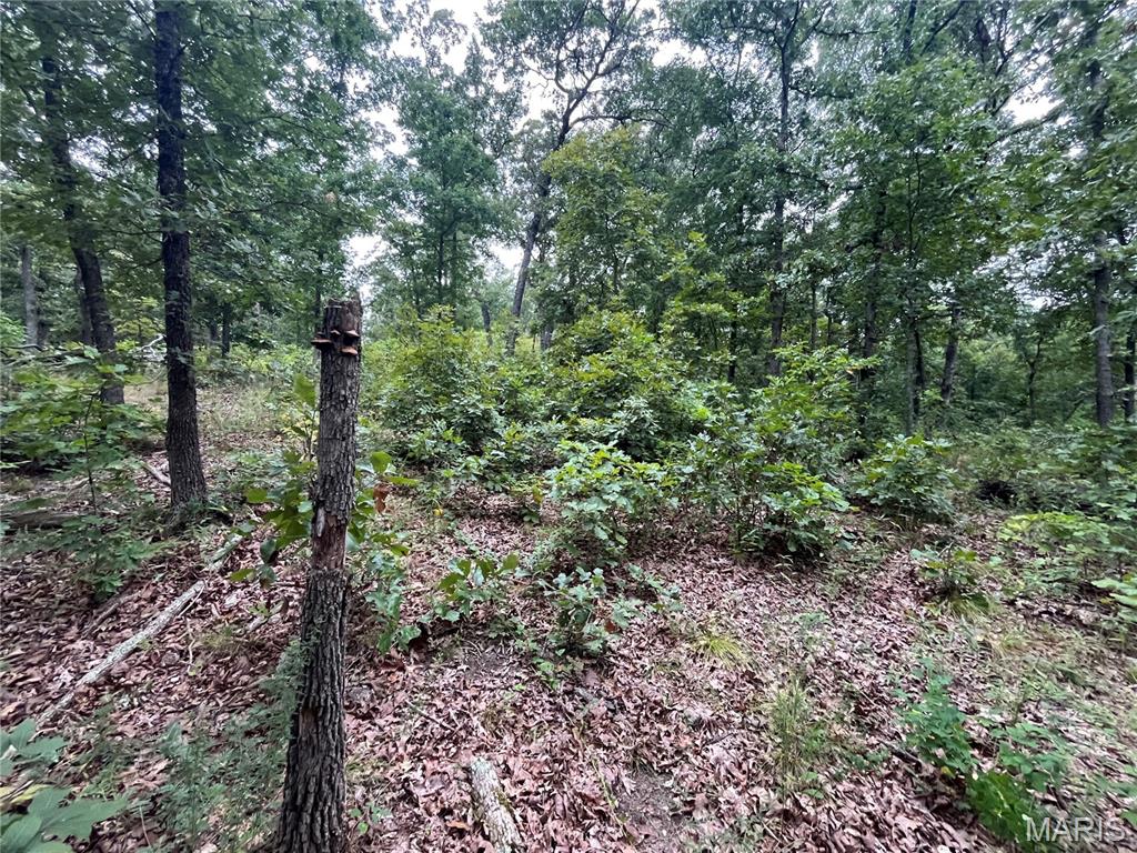 Whispering Oaks Subdivison - Land