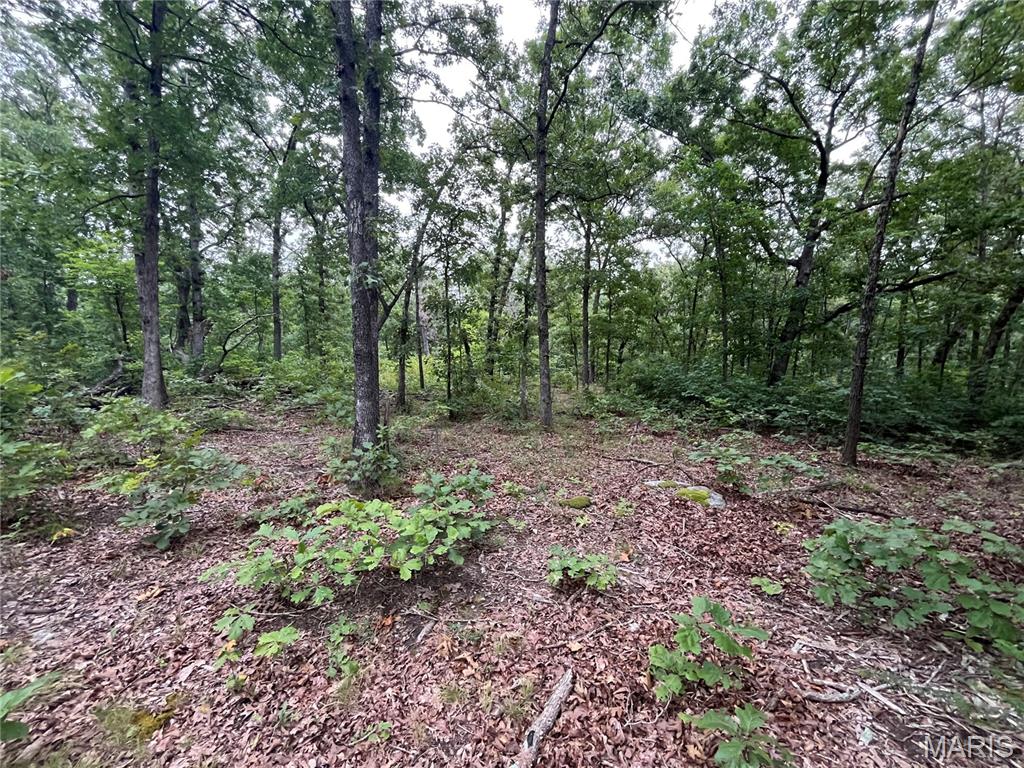 Whispering Oaks Subdivison - Land
