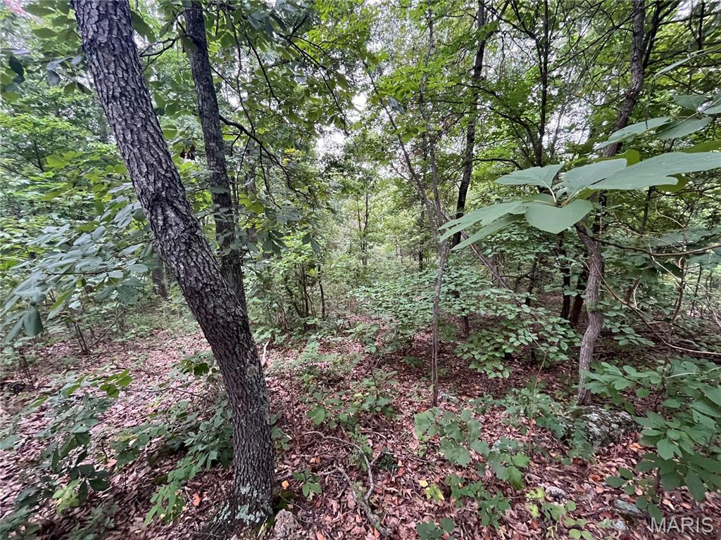 Whispering Oaks Subdivison - Land