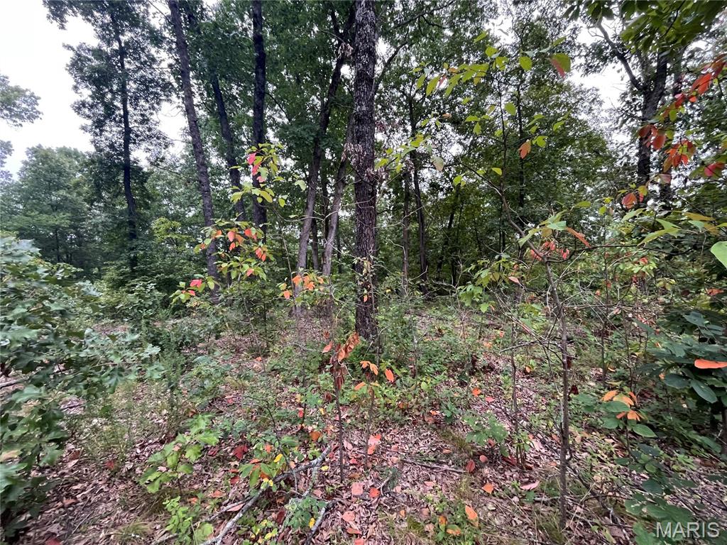 This wooded property has all the beauty of the Ozarks and has no HOAs, covenants or deed restrictions and is conveniently situated between Lake of the Ozarks and Truman Lake, with quick highway access. This property could be used as a base camp to a day on the water, or as a serene location to build your future dream home.  Seller says this is good place to hunt deer and turkey. There are several nice building spots with one overlooking the Morris’s Creek.