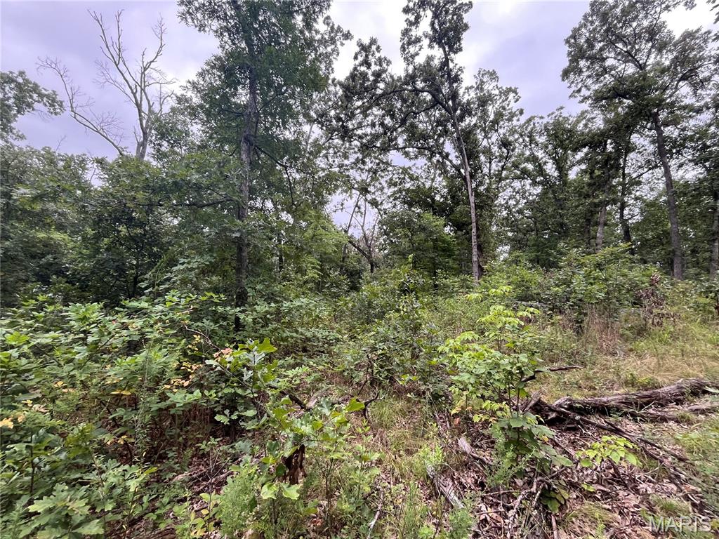 Whispering Oaks Subdivison - Land