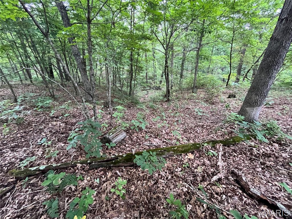 Whispering Oaks Subdivison - Land