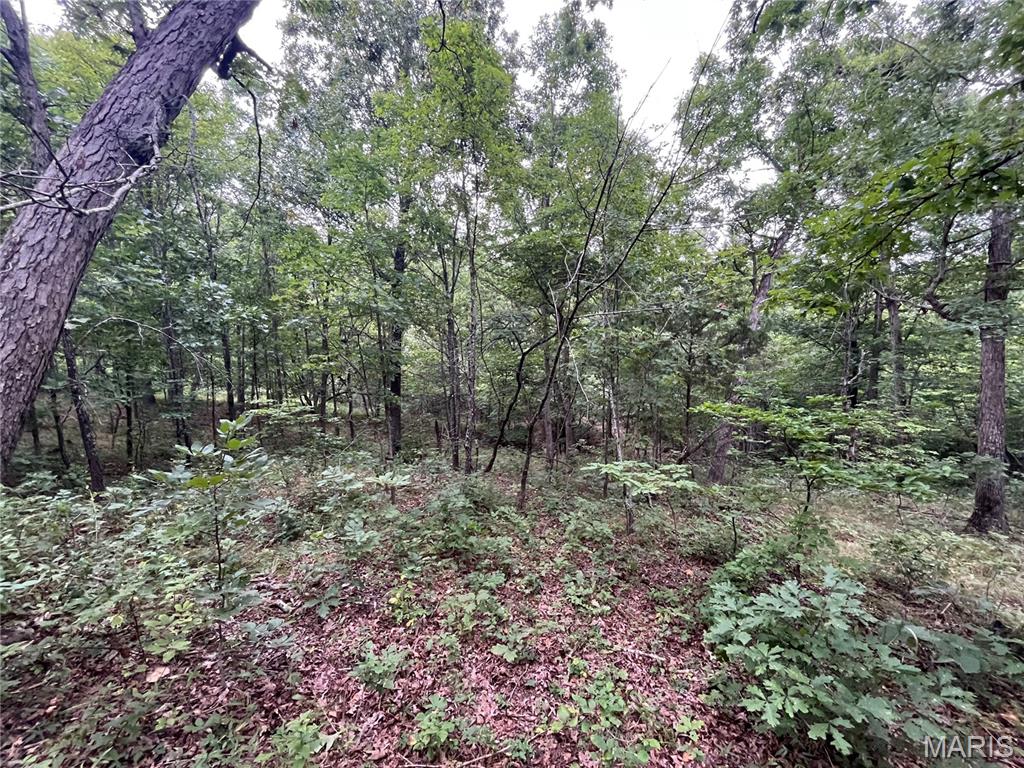 Whispering Oaks Subdivison - Land
