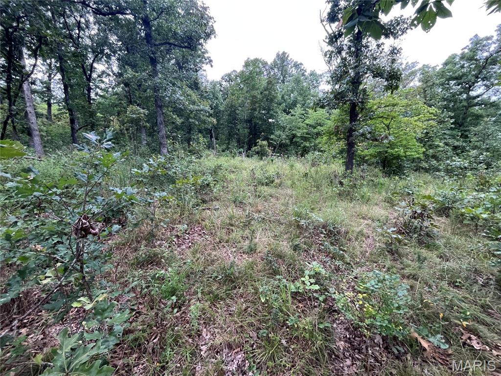 Whispering Oaks Subdivison - Land