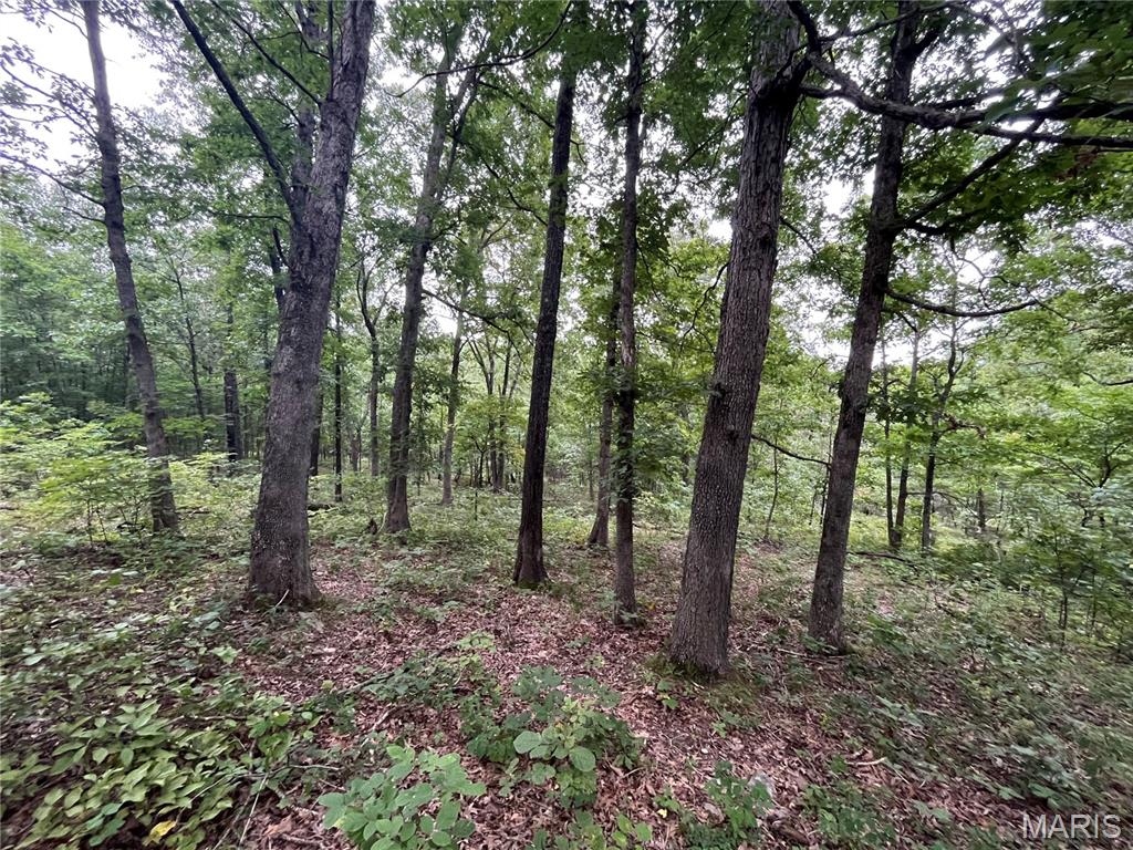 Whispering Oaks Subdivison - Land