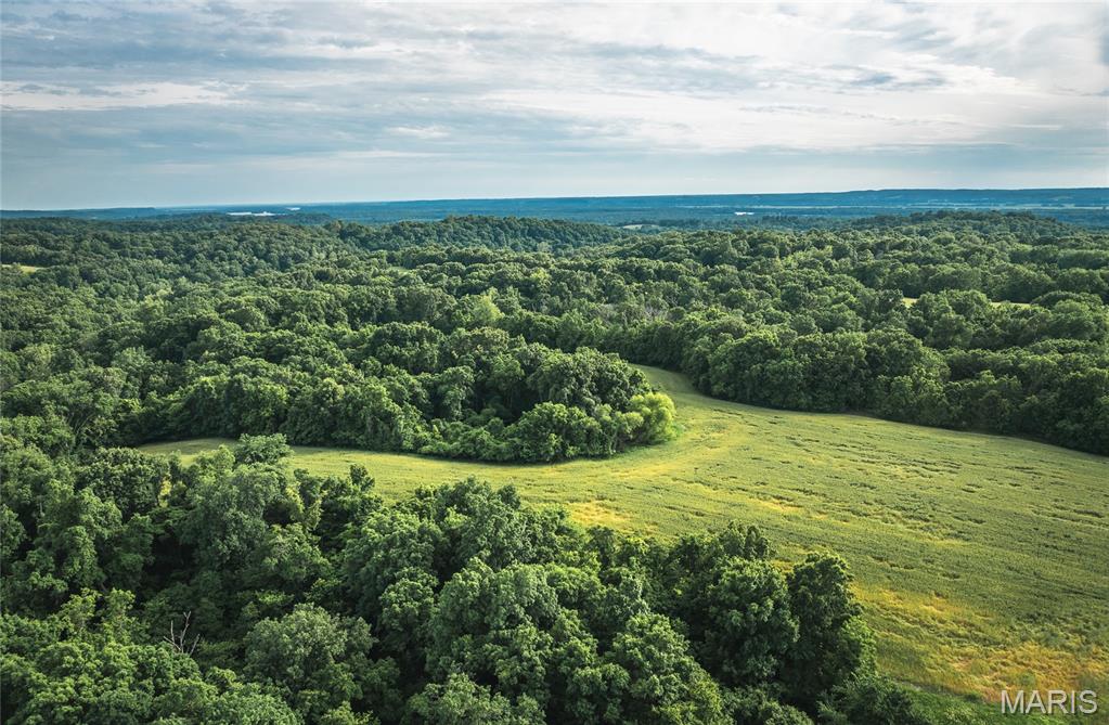 Not In A Subdivision - Farm