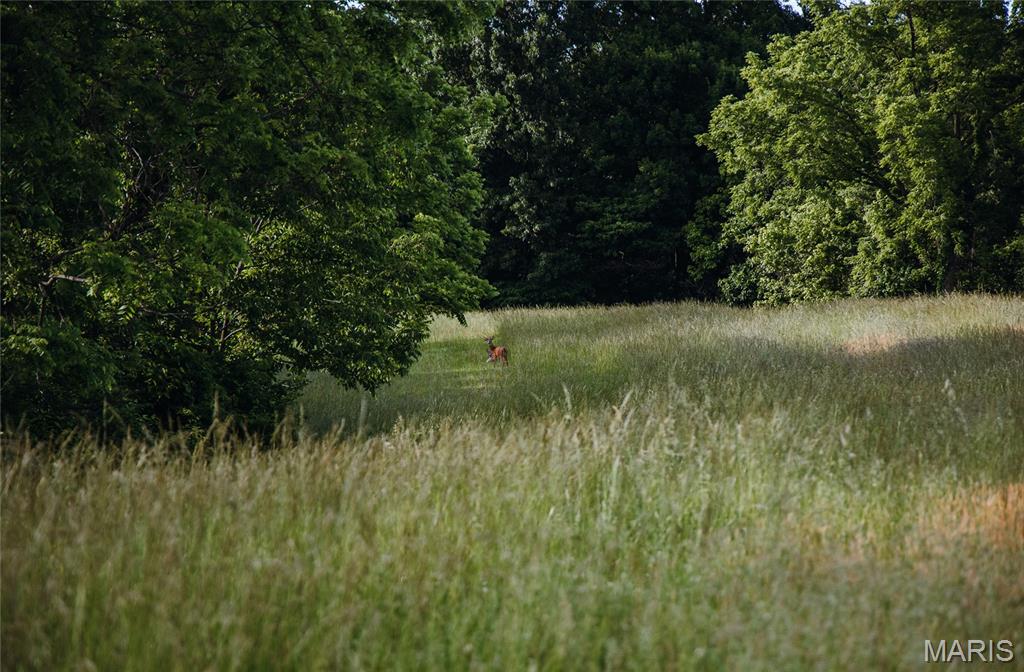 Not In A Subdivision - Farm