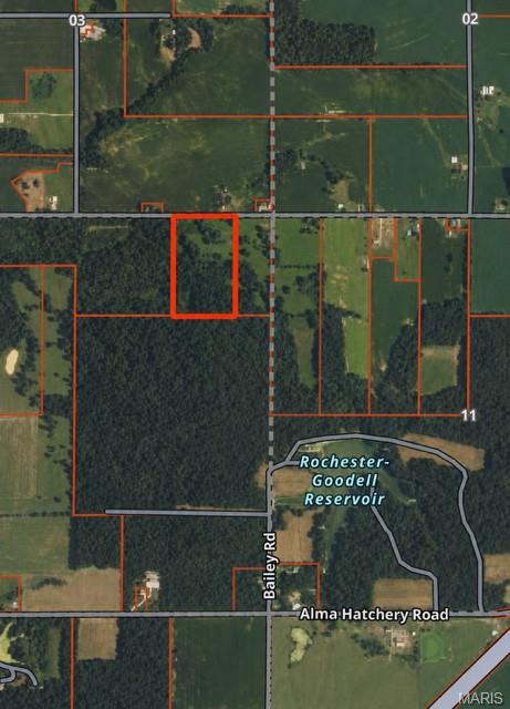 Tonti Township - Land