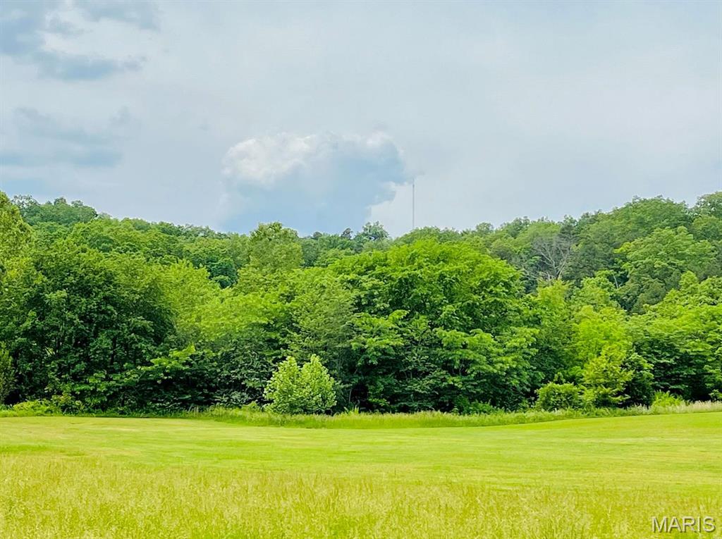 AFFORDABLE CURRENT RIVER ACCESS IN VAN BUREN, MO!!! This unique, wooded, 60' circular lot allows you access to the gravel bars of Deer Run on the majestic Current River! This lot joins common ground and not only allows you access to the river but also provides usage of the trash dumpster as well. An annual HOA fee of only $100 is a bargain for the amenities that come with this lot. If you've ever dreamed of affordable river access, this is your chance! Don't drag your flipflops! This lot won't last!