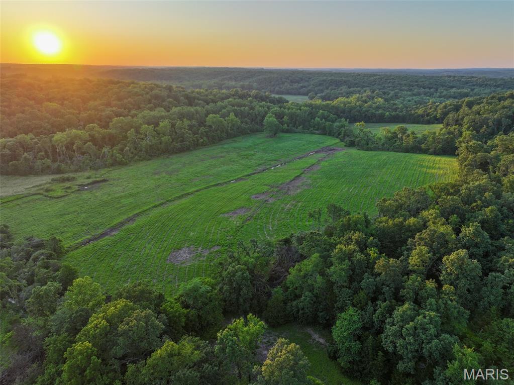 36.74 acres of land available. Perfect for a new home site. Lollar Branch Creek runs through Northwest corner of property. There is a beautiful view of the bottomlands below. Access to this parcel is via a private easement road directly off of Highland Fling Rd. Great hunting opportunities, tons of deer & turkey. Electrical easement in place, and electric is close by, along the north border. Property appears to be partly in Spring Bluff and partly in Sullivan School District.