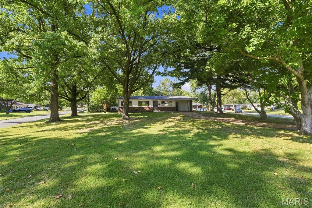 Paddock Hills - Residential