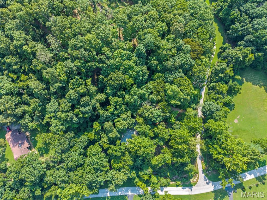 Spring Forest Estates - Residential