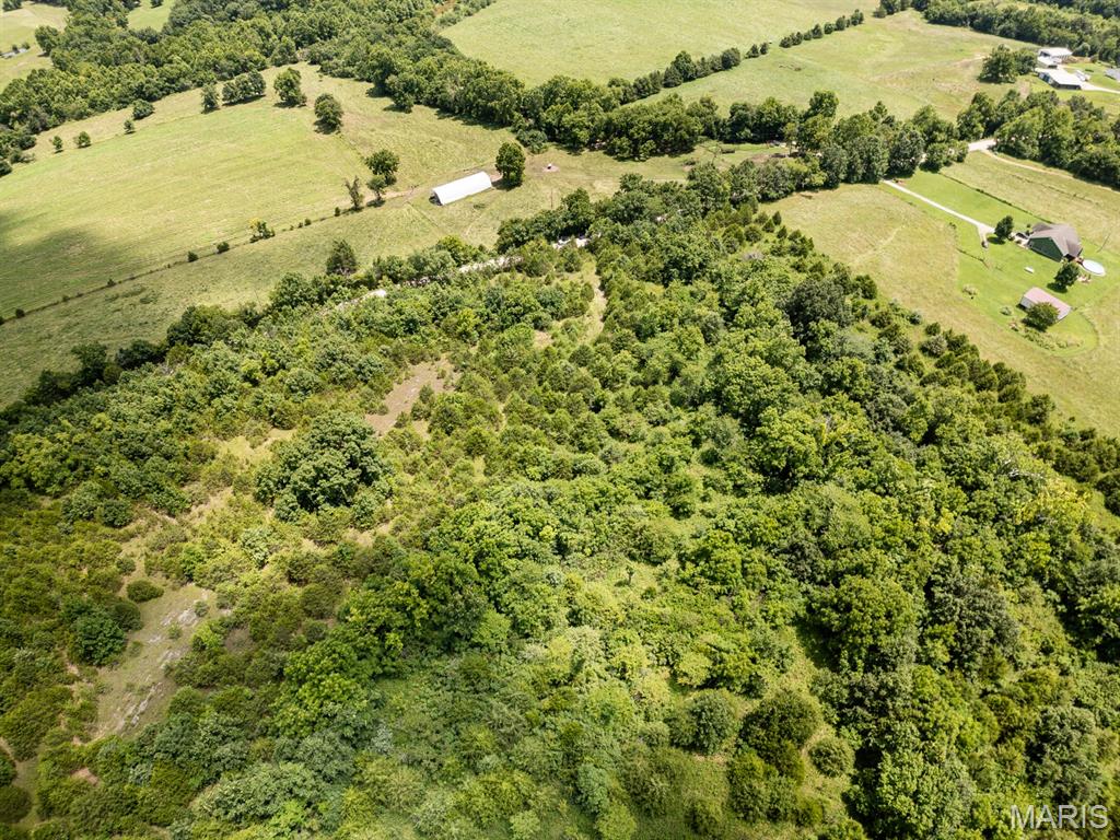 Spring  Creek - Land