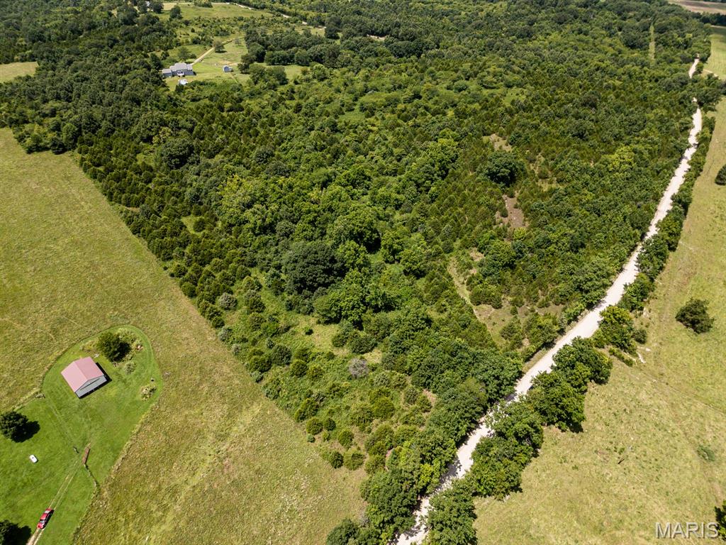 Spring  Creek - Land
